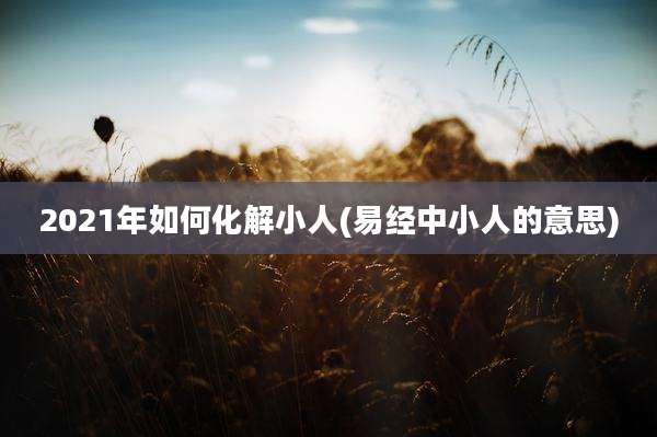 2021年如何化解小人(易经中小人的意思)