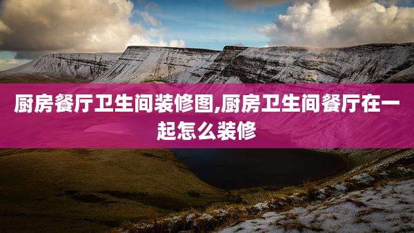 厨房餐厅卫生间装修图,厨房卫生间餐厅在一起怎么装修