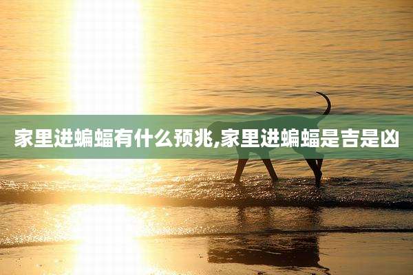 家里进蝙蝠有什么预兆,家里进蝙蝠是吉是凶