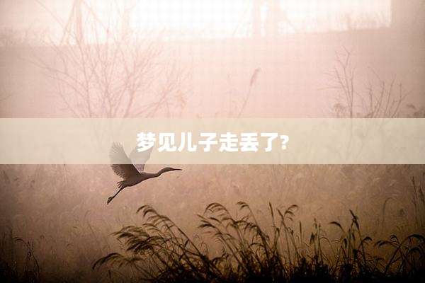 梦见儿子走丢了?