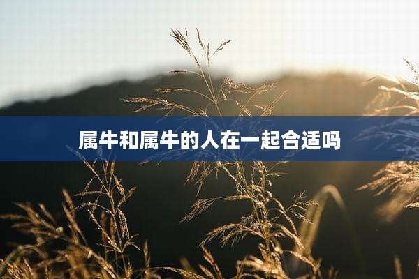 属牛和属牛的人在一起合适吗