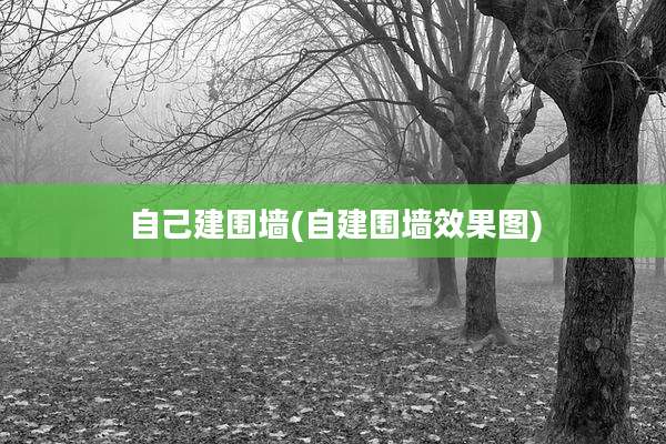 自己建围墙(自建围墙效果图)