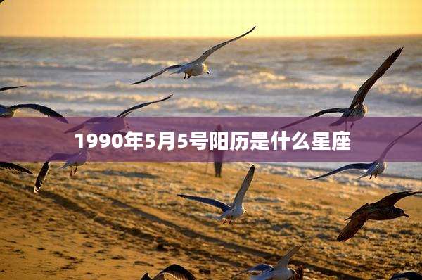 1990年5月5号阳历是什么星座