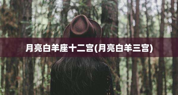 月亮白羊座十二宫(月亮白羊三宫)