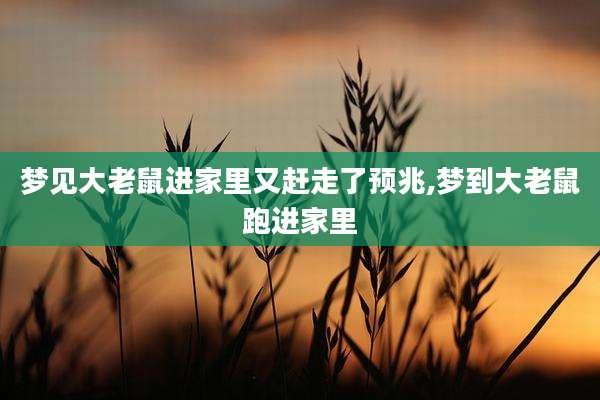 梦见大老鼠进家里又赶走了预兆,梦到大老鼠跑进家里