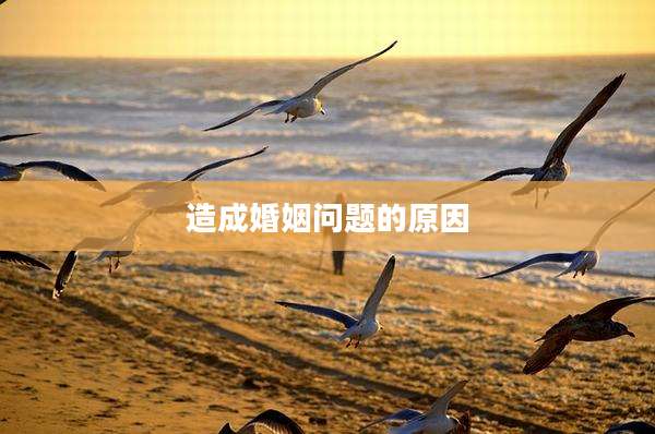 造成婚姻问题的原因