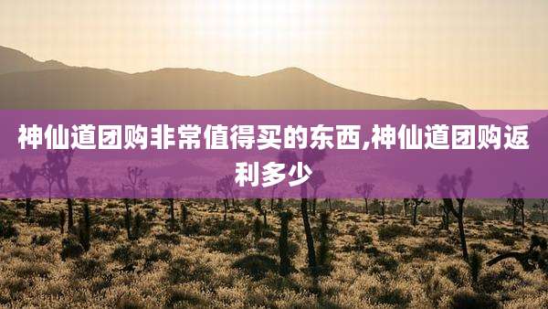 神仙道团购非常值得买的东西,神仙道团购返利多少
