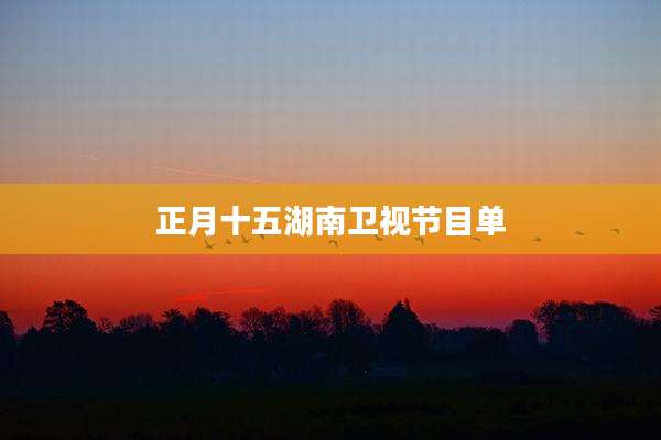 正月十五湖南卫视节目单