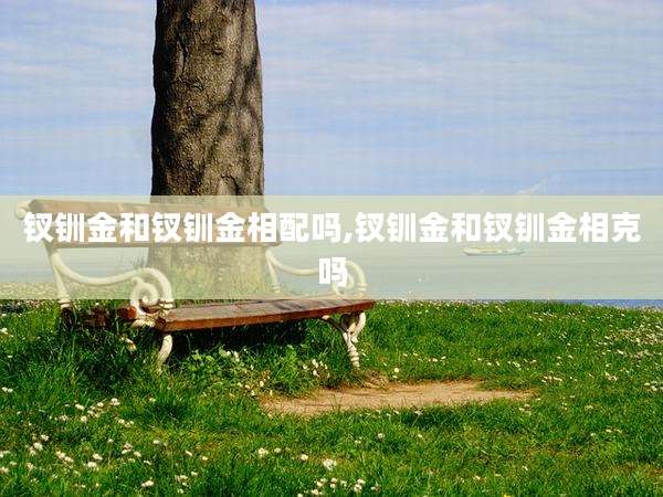钗钏金和钗钏金相配吗,钗钏金和钗钏金相克吗