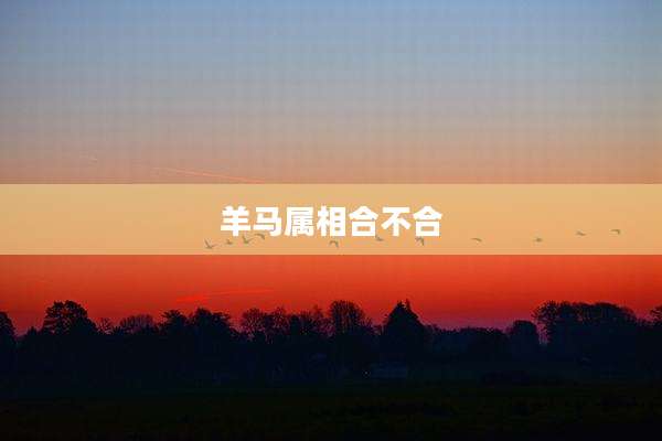 羊马属相合不合