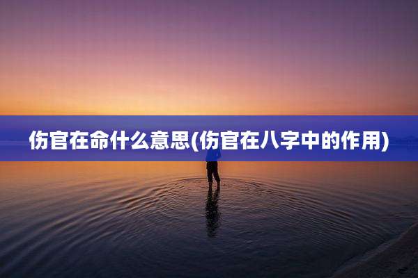 伤官在命什么意思(伤官在八字中的作用)