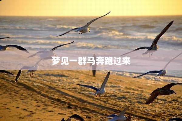 梦见一群马奔跑过来