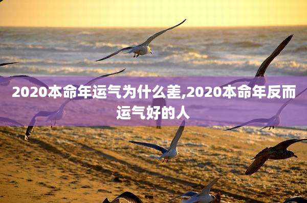 2020本命年运气为什么差,2020本命年反而运气好的人