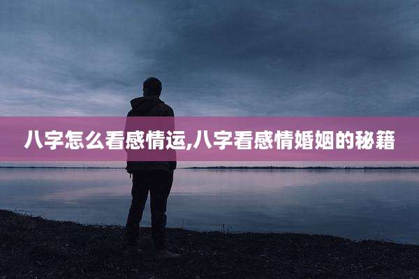 八字怎么看感情运,八字看感情婚姻的秘籍