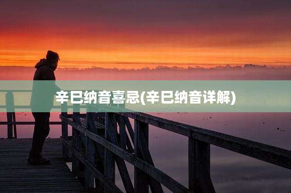 辛巳纳音喜忌(辛巳纳音详解)