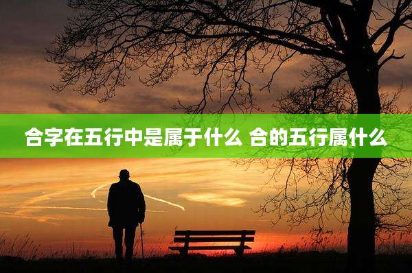 合字在五行中是属于什么 合的五行属什么