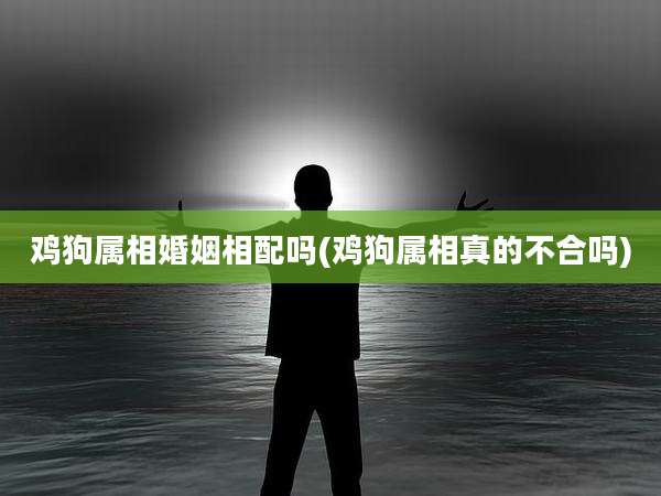 鸡狗属相婚姻相配吗(鸡狗属相真的不合吗)