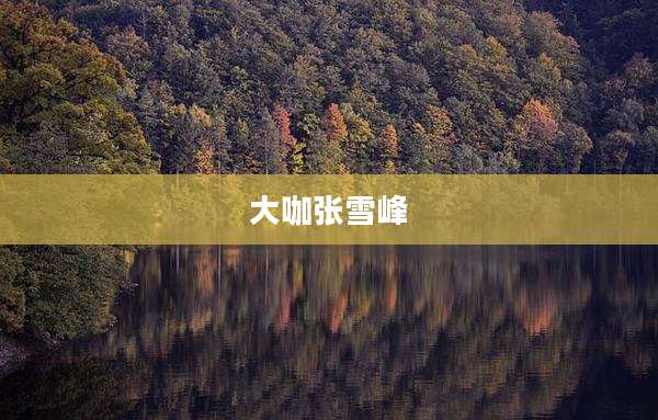 大咖张雪峰