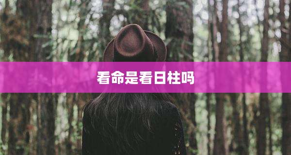 看命是看日柱吗
