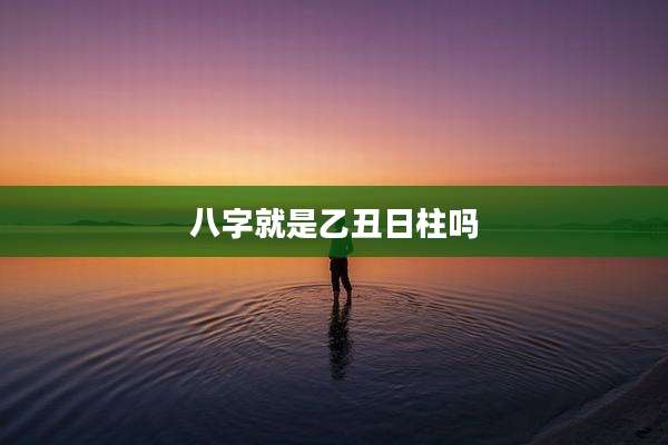 八字就是乙丑日柱吗