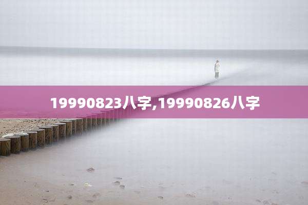 19990823八字,19990826八字