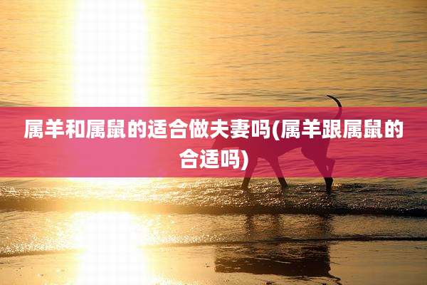属羊和属鼠的适合做夫妻吗(属羊跟属鼠的合适吗)