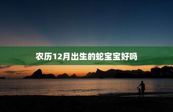 农历12月出生的蛇宝宝好吗