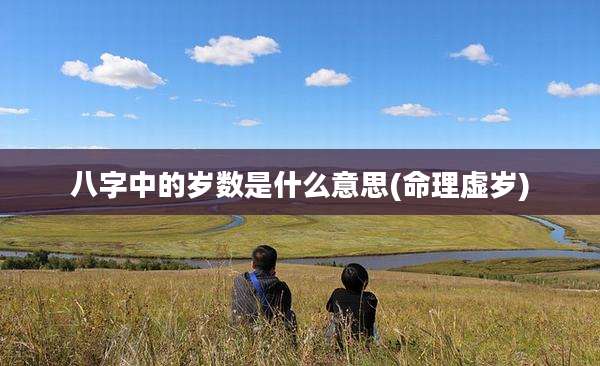 八字中的岁数是什么意思(命理虚岁)