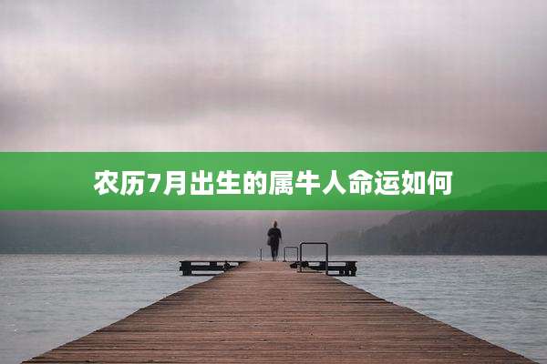 农历7月出生的属牛人命运如何