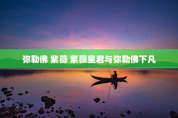弥勒佛 紫薇 紫薇星君与弥勒佛下凡