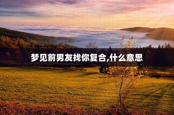 梦见前男友找你复合,什么意思