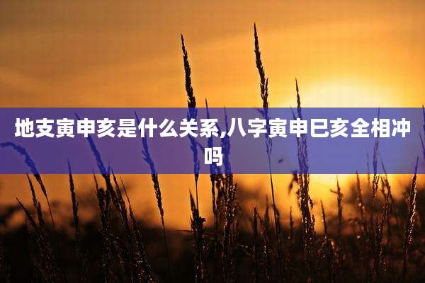 地支寅申亥是什么关系,八字寅申巳亥全相冲吗