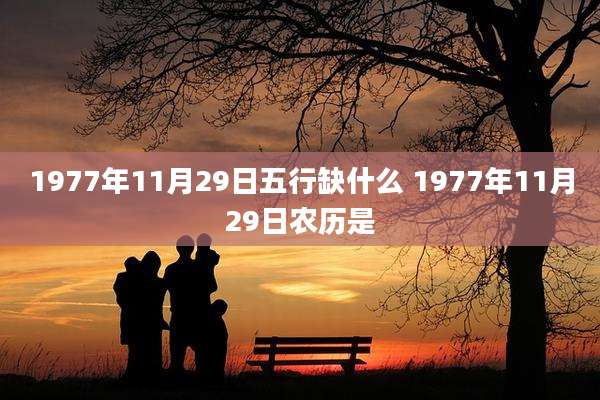 1977年11月29日五行缺什么 1977年11月29日农历是