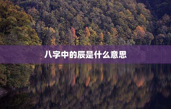 八字中的辰是什么意思