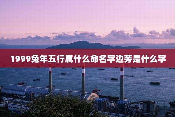 1999兔年五行属什么命名字边旁是什么字