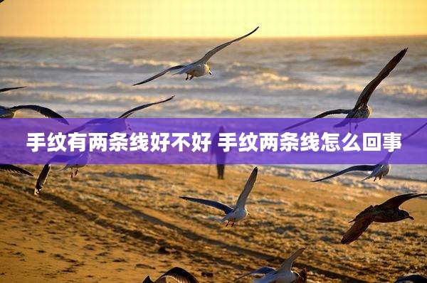 手纹有两条线好不好 手纹两条线怎么回事