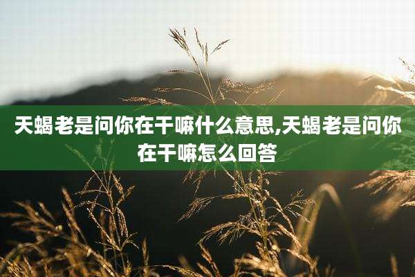 天蝎老是问你在干嘛什么意思,天蝎老是问你在干嘛怎么回答