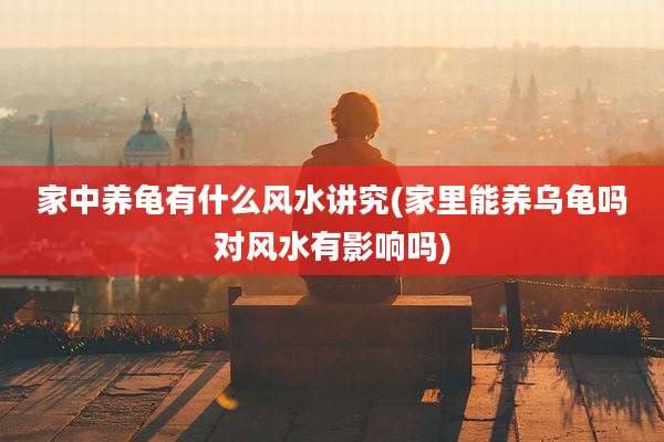 家中养龟有什么风水讲究(家里能养乌龟吗对风水有影响吗)