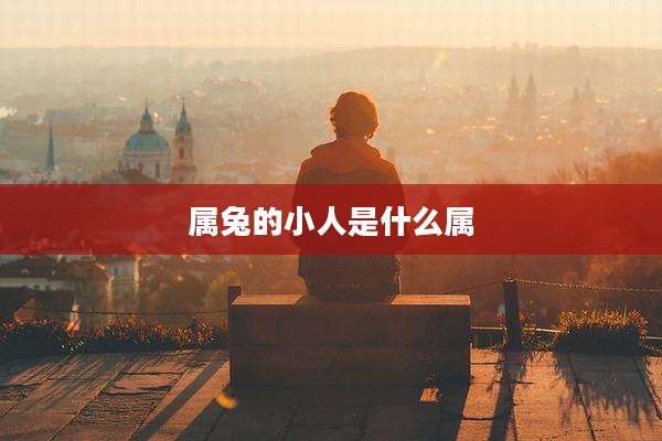 属兔的小人是什么属