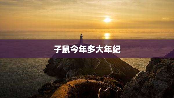 子鼠今年多大年纪