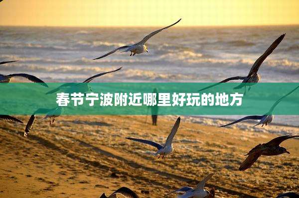 春节宁波附近哪里好玩的地方