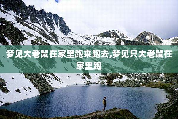 梦见大老鼠在家里跑来跑去,梦见只大老鼠在家里跑