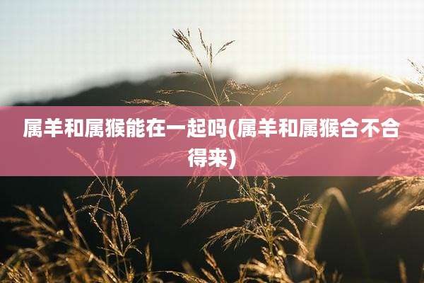 属羊和属猴能在一起吗(属羊和属猴合不合得来)