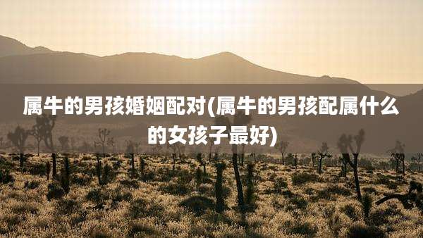 属牛的男孩婚姻配对(属牛的男孩配属什么的女孩子最好)