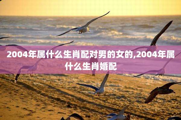 2004年属什么生肖配对男的女的,2004年属什么生肖婚配
