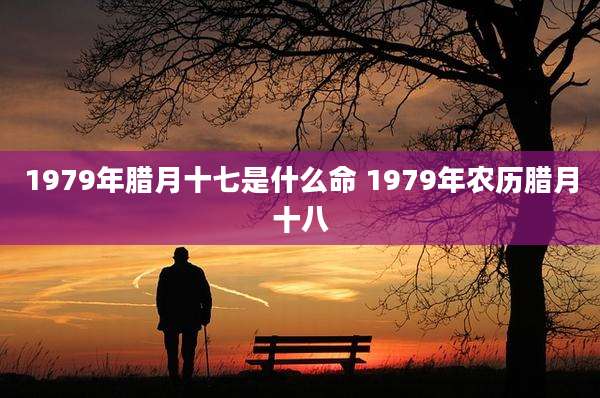 1979年腊月十七是什么命 1979年农历腊月十八