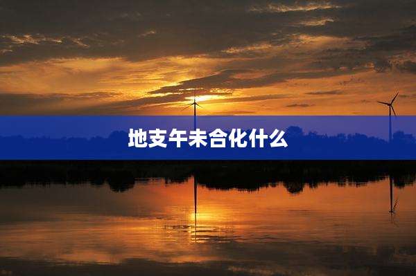 地支午未合化什么