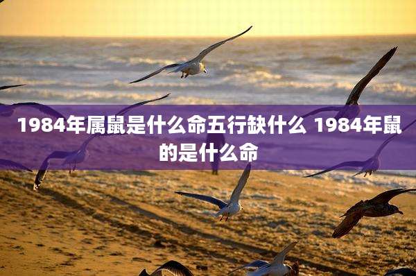 1984年属鼠是什么命五行缺什么 1984年鼠的是什么命