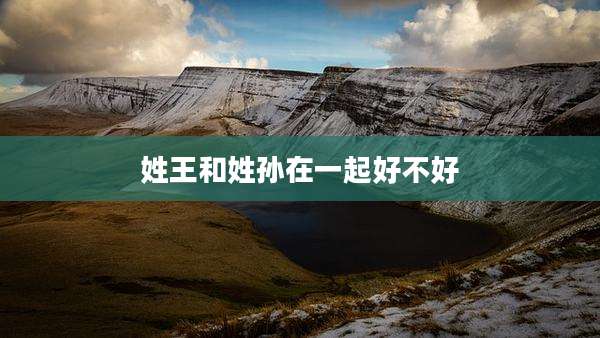 姓王和姓孙在一起好不好