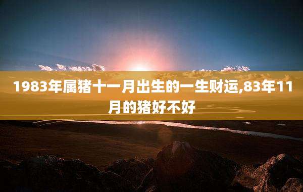 1983年属猪十一月出生的一生财运,83年11月的猪好不好